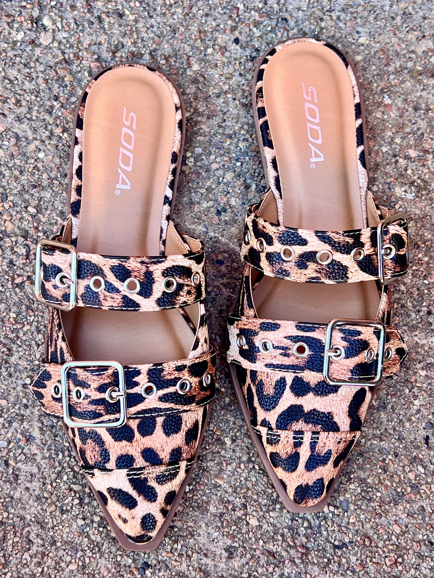 Leopard Flat