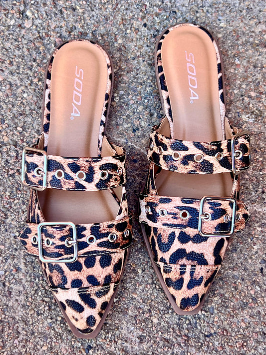 Leopard Flat