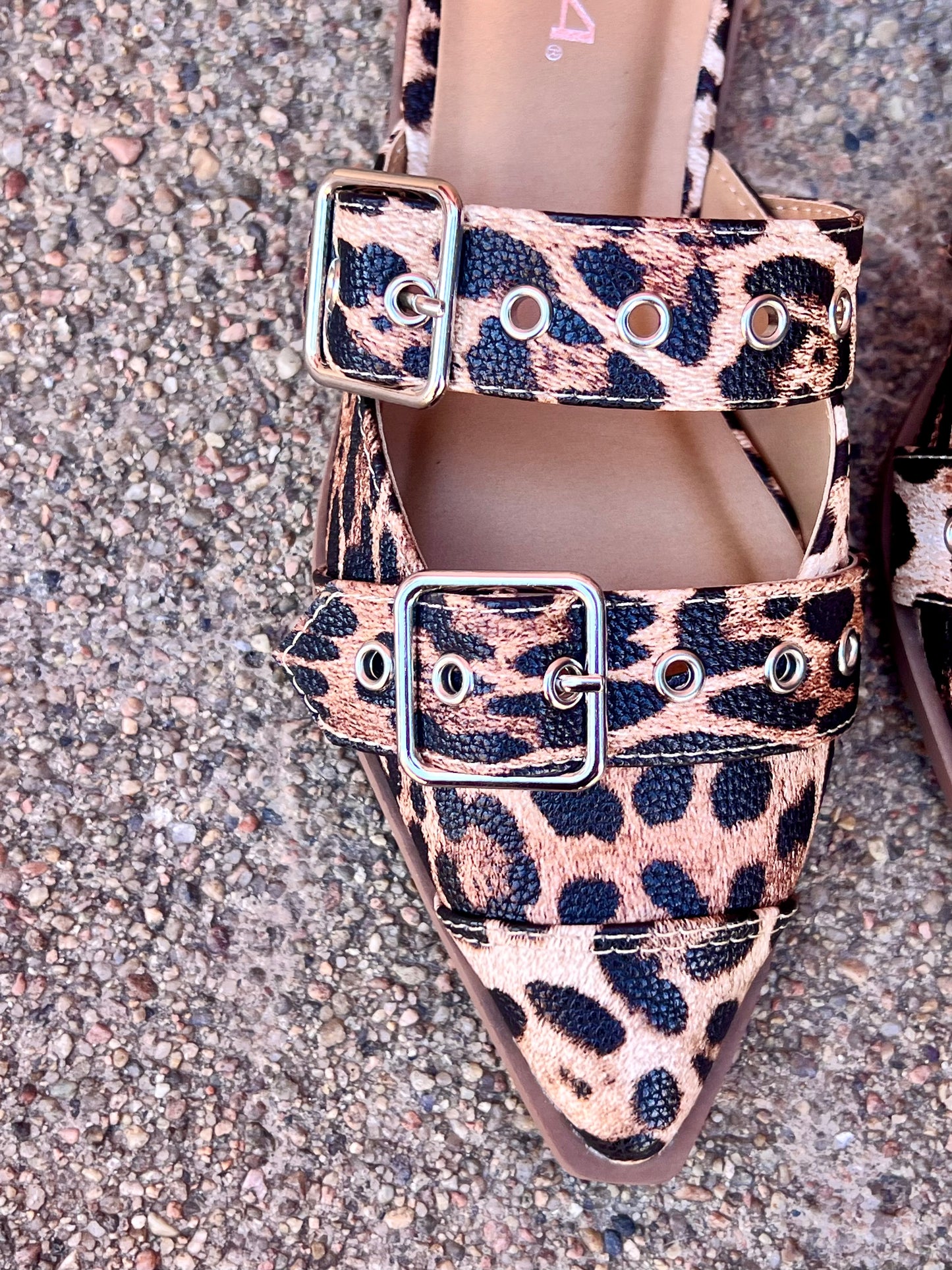 Leopard Flat