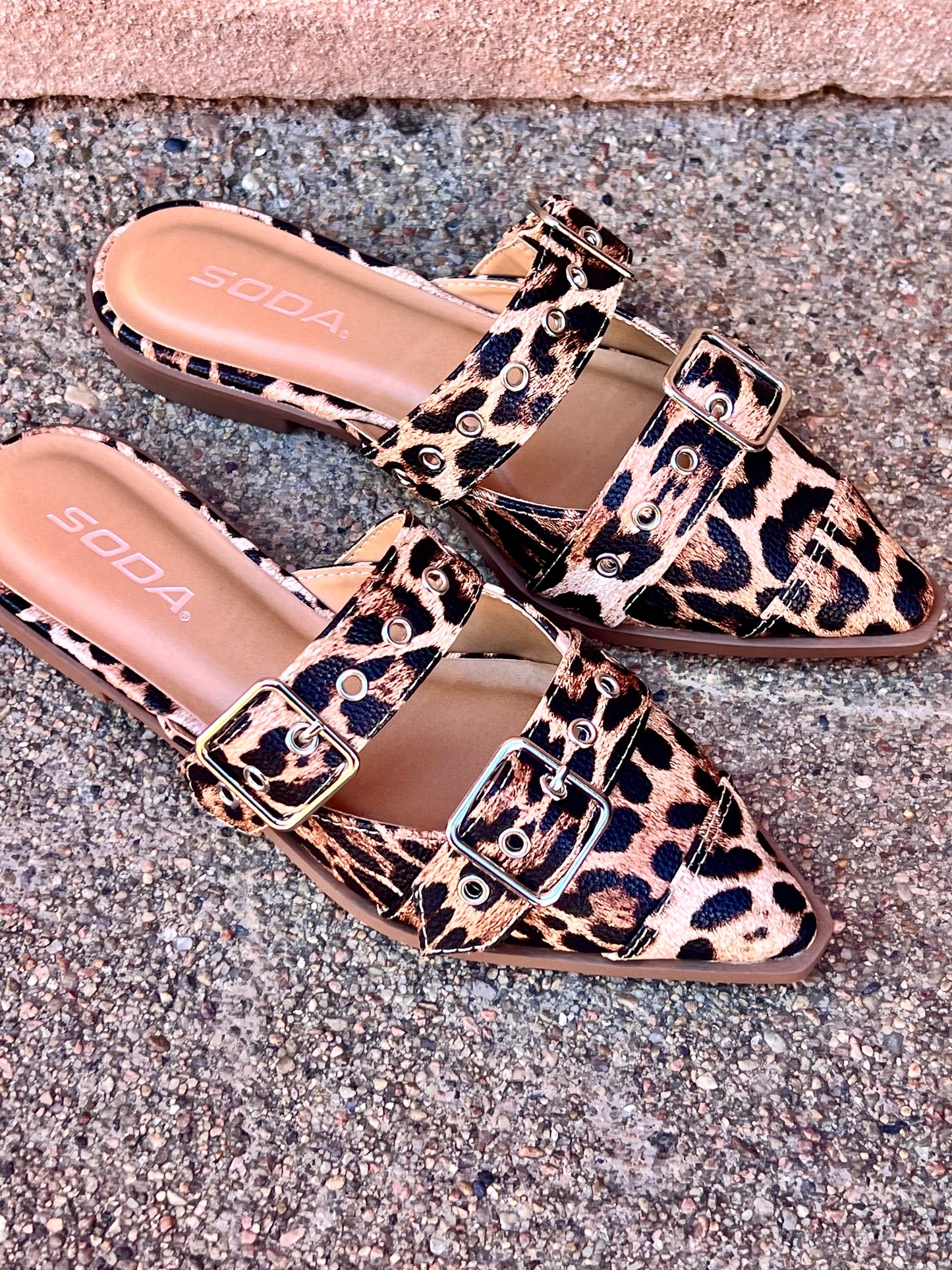 Leopard Flat
