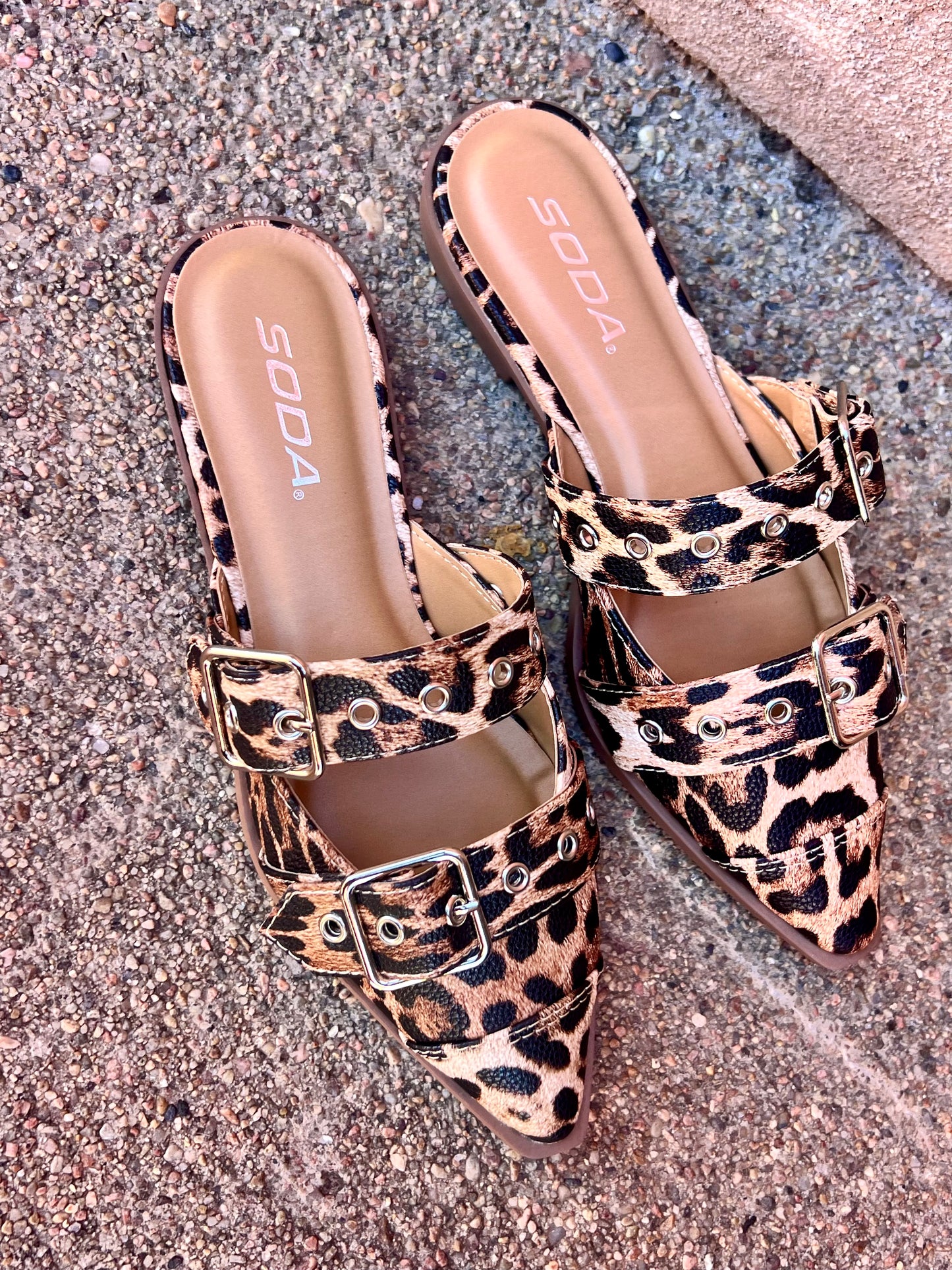 Leopard Flat