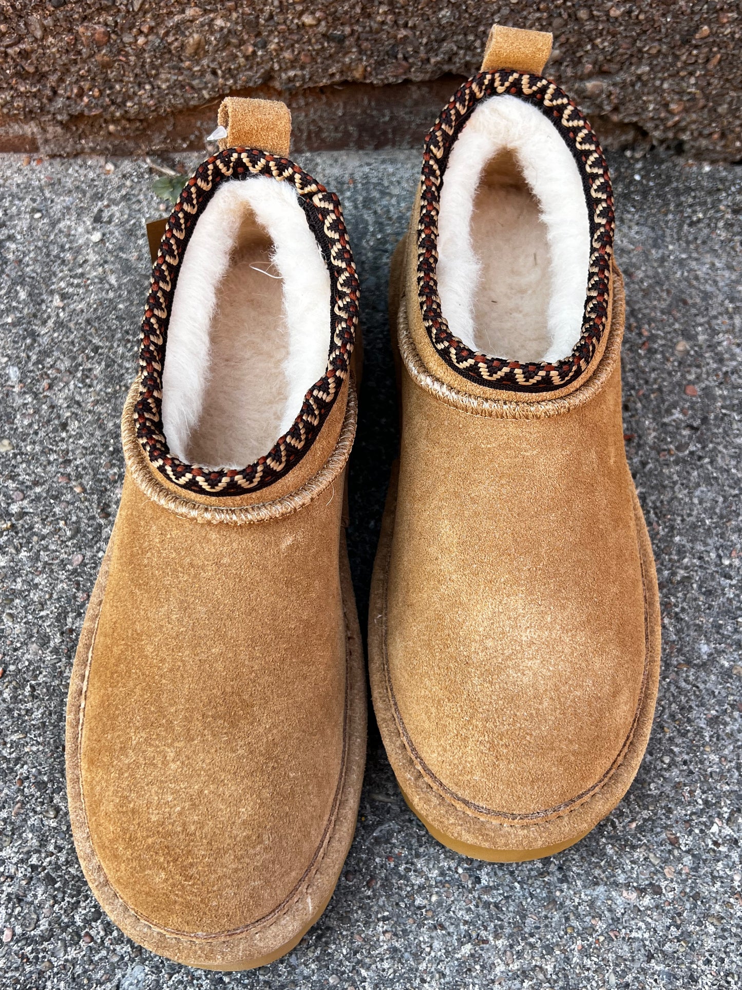 Super Shorty *Bearpaw* Iced Coffee