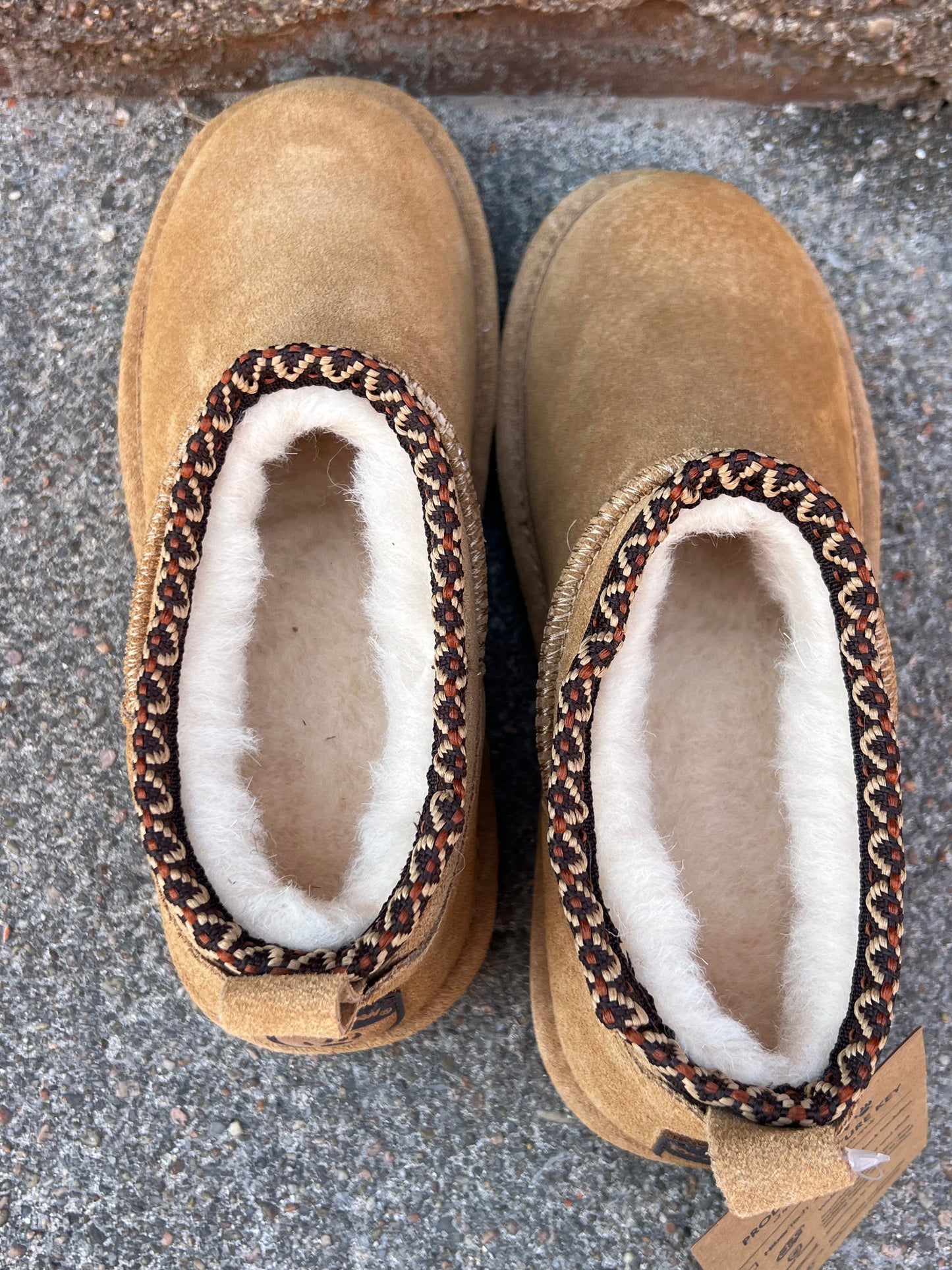 Super Shorty *Bearpaw* Iced Coffee