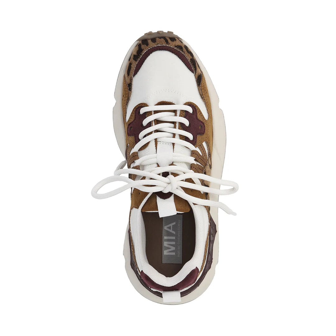 Field Day || Leopard