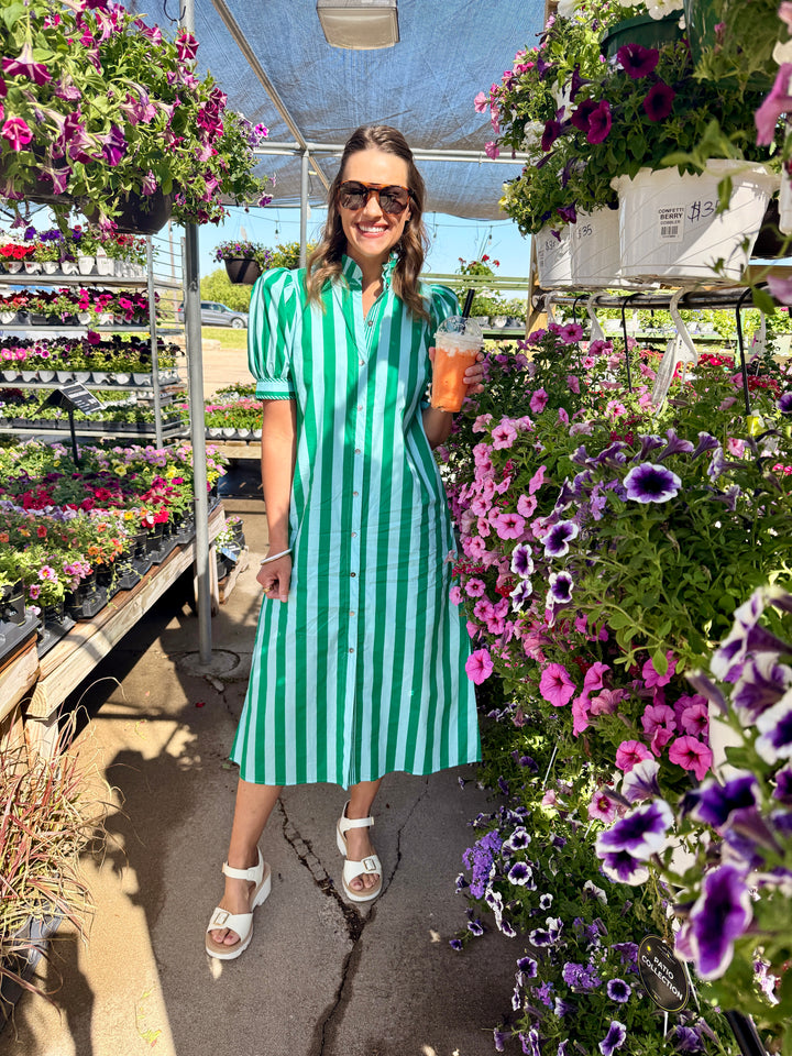 Stripe Print Puff Sleeve Midi Dress