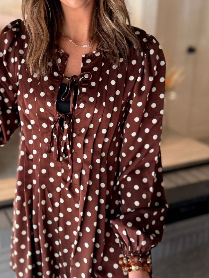 The Spot-On Satin Mini Dress in Chocolate