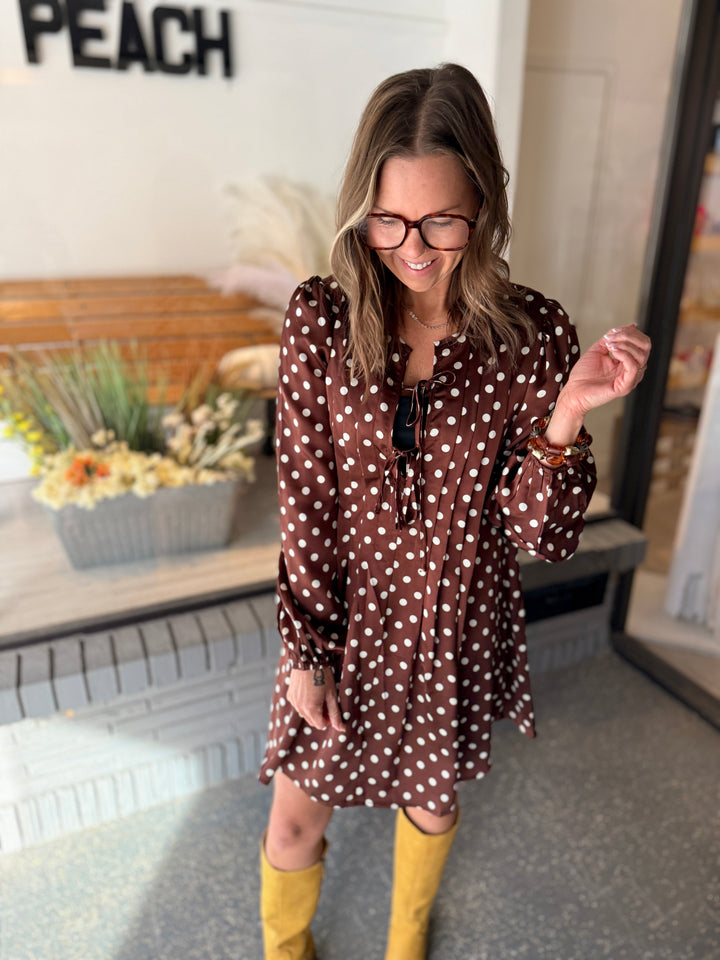 The Spot-On Satin Mini Dress in Chocolate
