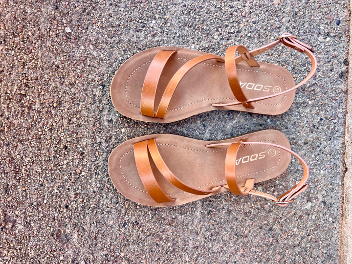 Emily Sandal Brown