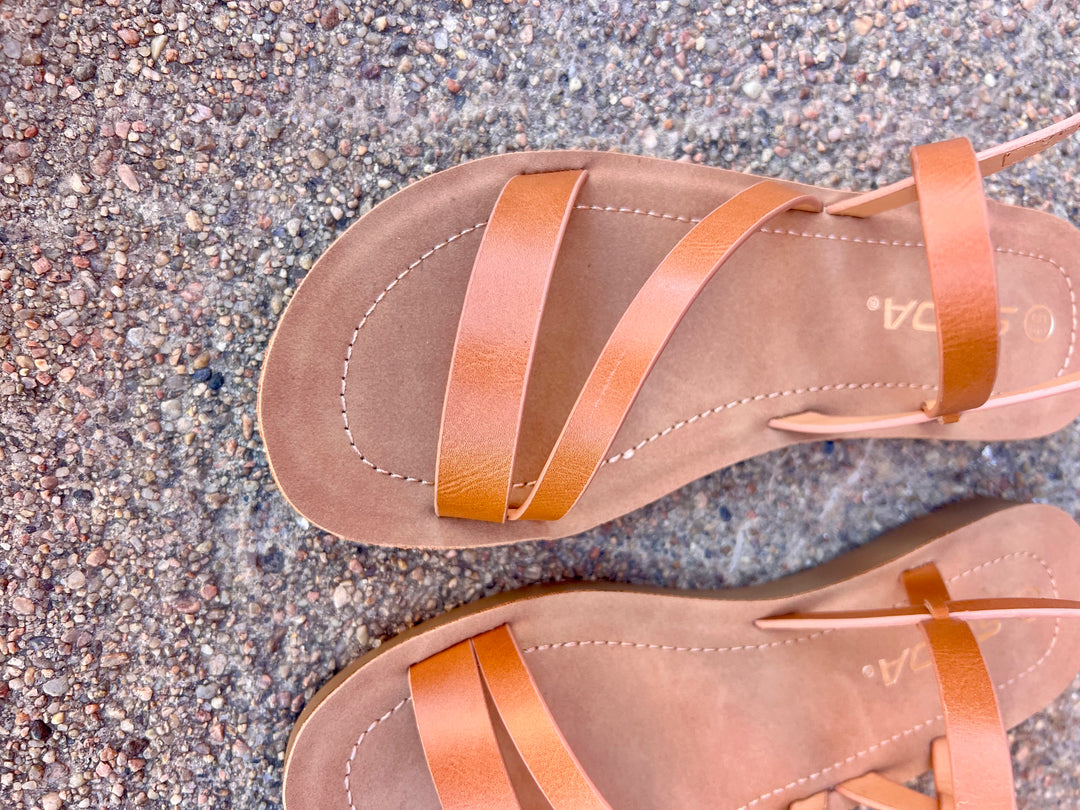 Emily Sandal Brown