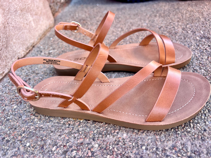 Emily Sandal Brown