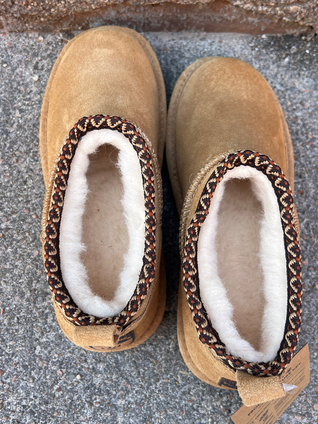 Super Shorty *Bearpaw* Iced Coffee