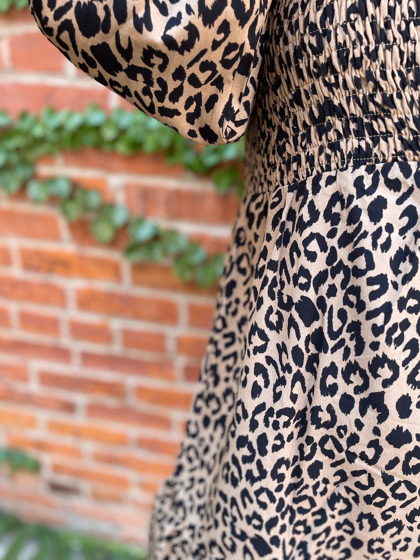 Leopard Love Dress